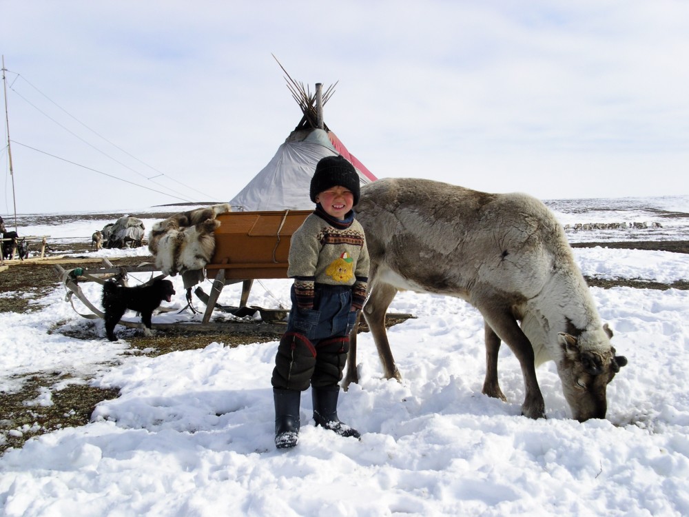 nenets boy and reindeer